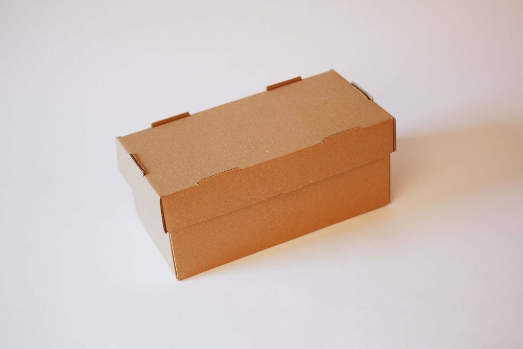 [684200] Doppel Burger Box 240×120×100 mm – 100 Stück