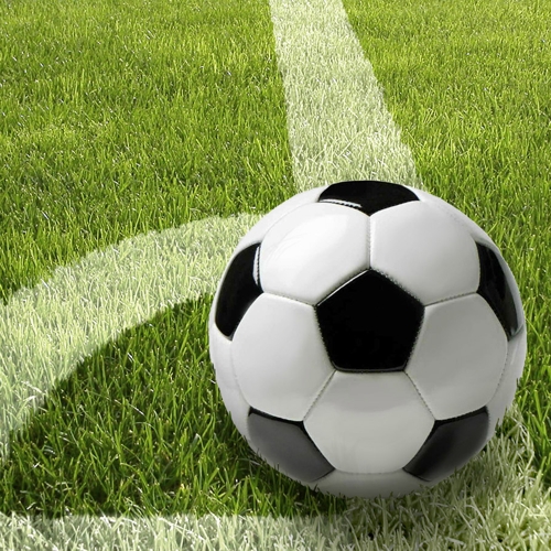 [81628] 10 x 20 Servietten, 3-lagig 1/4-Falz 33 cm x 33 cm "Football"