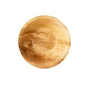 10 x 6 Schalen, Palmblatt "pure" rund 200 ml Ø 13 cm · 3 cm