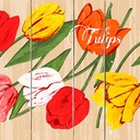 6 x 100 Servietten, 3-lagig 1/4-Falz 33 cm x 33 cm "Blooming Tulips"
