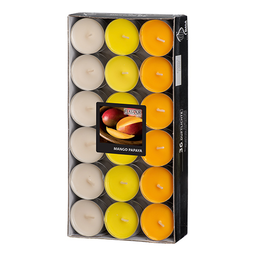 [96974] 8 x 36 "GALA" Duftlichte Ø 38 mm · 17 mm pfirsich - Mango-Papaya "Ton in Ton"
